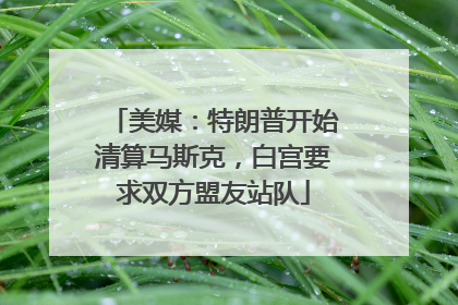 美媒：特朗普开始清算马斯克，白宫要求双方盟友站队