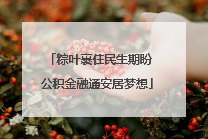 粽叶裹住民生期盼 公积金融通安居梦想