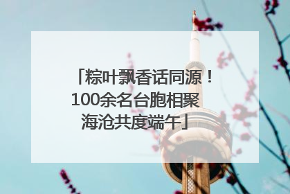 粽叶飘香话同源！100余名台胞相聚海沧共度端午
