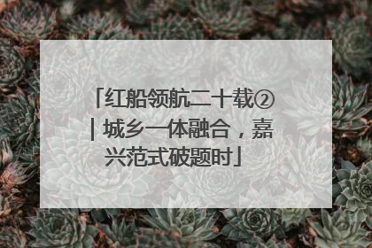 红船领航二十载②｜城乡一体融合，嘉兴范式破题时