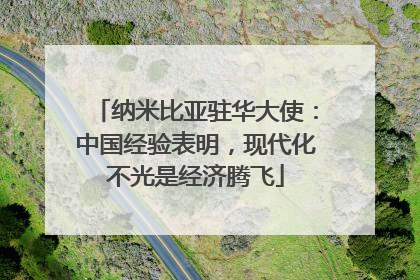 纳米比亚驻华大使：中国经验表明，现代化不光是经济腾飞