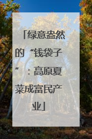 绿意盎然的“钱袋子”：高原夏菜成富民产业