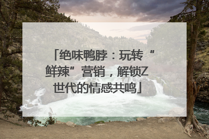 绝味鸭脖：玩转“鲜辣”营销，解锁Z世代的情感共鸣