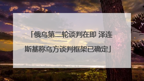 俄乌第二轮谈判在即 泽连斯基称乌方谈判框架已确定