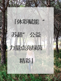 体彩赋能“苏超” 公益力量点亮绿茵精彩