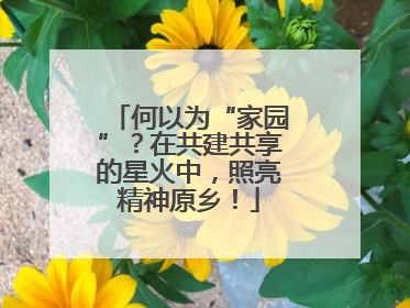 何以为“家园”？在共建共享的星火中，照亮精神原乡！