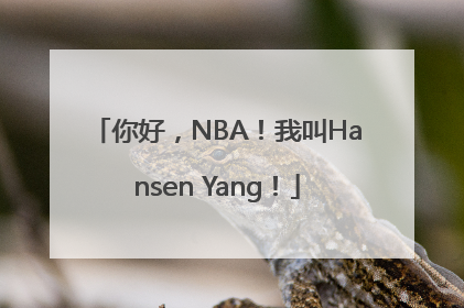 你好，NBA！我叫Hansen Yang！