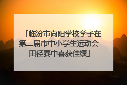 临汾市向阳学校学子在第二届市中小学生运动会田径赛中喜获佳绩
