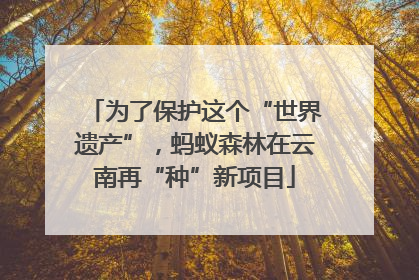 为了保护这个“世界遗产”，蚂蚁森林在云南再“种”新项目