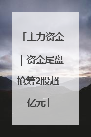 主力资金｜资金尾盘抢筹2股超亿元