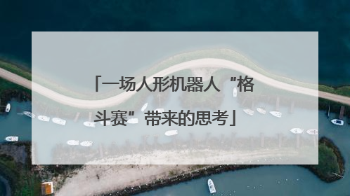 一场人形机器人“格斗赛”带来的思考