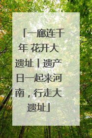 一廊连千年 花开大遗址丨遗产日一起来河南，行走大遗址