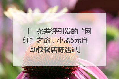 一条差评引发的“网红”之路，小孟5元自助快餐店奇遇记