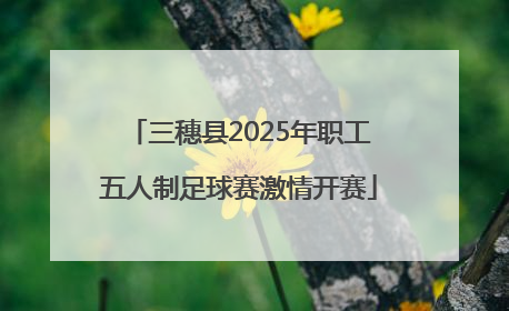 三穗县2025年职工五人制足球赛激情开赛