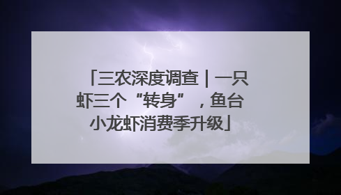 三农深度调查｜一只虾三个“转身”，鱼台小龙虾消费季升级