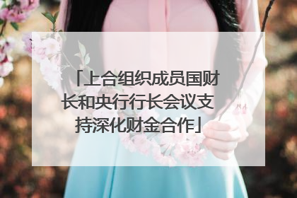 上合组织成员国财长和央行行长会议支持深化财金合作