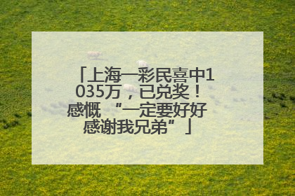 上海一彩民喜中1035万，已兑奖！感慨 “一定要好好感谢我兄弟”