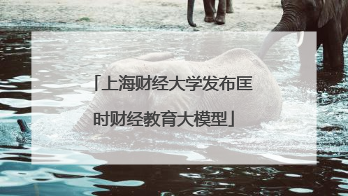 上海财经大学发布匡时财经教育大模型