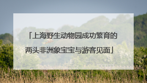 上海野生动物园成功繁育的两头非洲象宝宝与游客见面