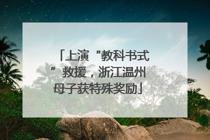 上演“教科书式”救援，浙江温州母子获特殊奖励