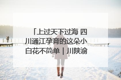上过天下过海 四川通江孕育的这朵小白花不简单｜川陕渝网络名人巴中行