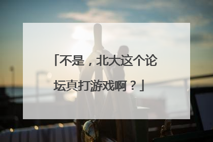 不是，北大这个论坛真打游戏啊？