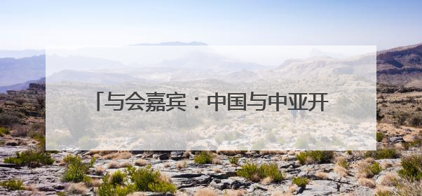 与会嘉宾：中国与中亚开展人工智能合作前景广阔