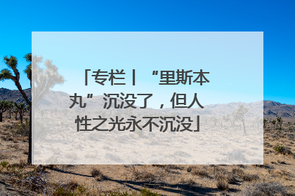 专栏丨“里斯本丸”沉没了，但人性之光永不沉没