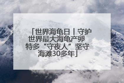世界海龟日丨守护世界最大海龟产卵 特多“守夜人”坚守海滩30多年