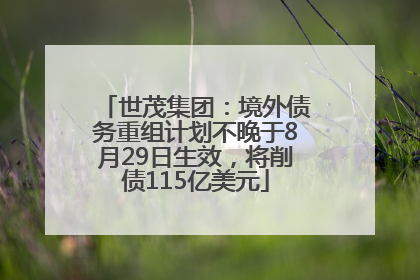 世茂集团：境外债务重组计划不晚于8月29日生效，将削债115亿美元