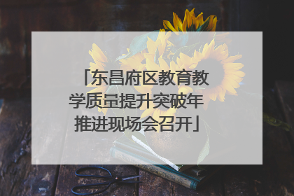 东昌府区教育教学质量提升突破年推进现场会召开