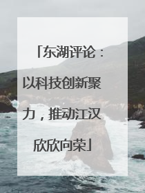 东湖评论：以科技创新聚力，推动江汉欣欣向荣