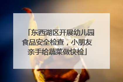 东西湖区开展幼儿园食品安全检查，小朋友亲手给蔬菜做快检