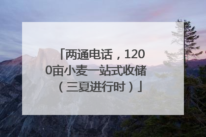 两通电话，1200亩小麦一站式收储（三夏进行时）
