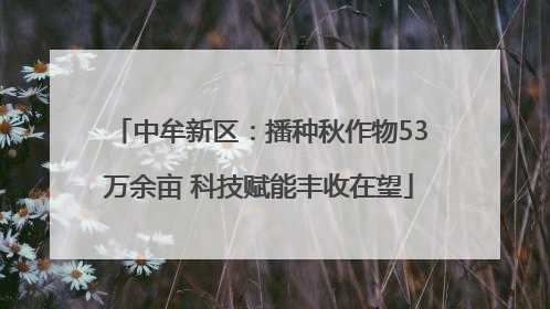 中牟新区：播种秋作物53万余亩 科技赋能丰收在望