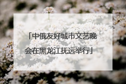 中俄友好城市文艺晚会在黑龙江抚远举行