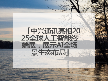 中兴通讯亮相2025全球人工智能终端展，展示AI全场景生态布局