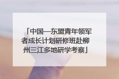 中国—东盟青年领军者成长计划研修班赴柳州三江多地研学考察