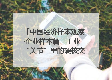 中国经济样本观察·企业样本篇｜工业“关节”里的硬核突围——老企业洛轴创新蝶变启示录