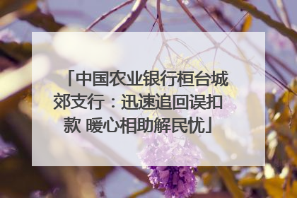 中国农业银行桓台城郊支行：迅速追回误扣款 暖心相助解民忧