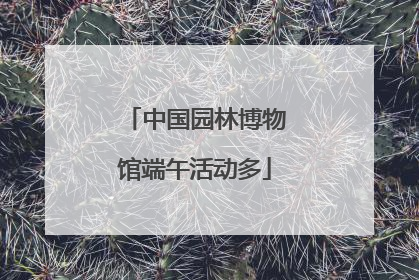 中国园林博物馆端午活动多