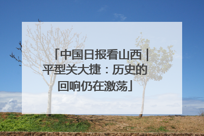 中国日报看山西｜平型关大捷：历史的回响仍在激荡