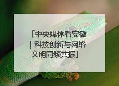 中央媒体看安徽｜科技创新与网络文明同频共振