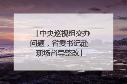 中央巡视组交办问题，省委书记赴现场督导整改