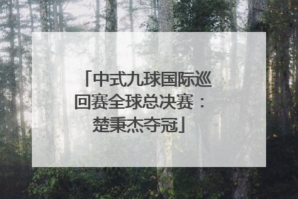 中式九球国际巡回赛全球总决赛：楚秉杰夺冠