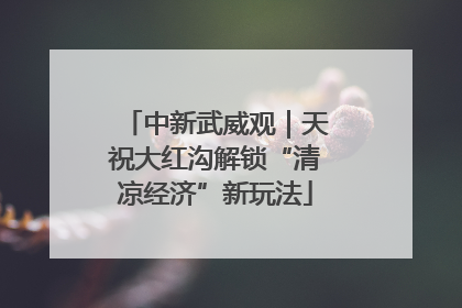 中新武威观｜天祝大红沟解锁“清凉经济”新玩法