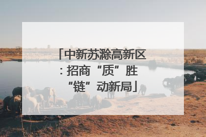 中新苏滁高新区：招商“质”胜 “链”动新局