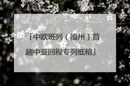 中欧班列（福州）首趟中亚回程专列抵榕
