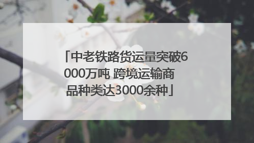 中老铁路货运量突破6000万吨 跨境运输商品种类达3000余种