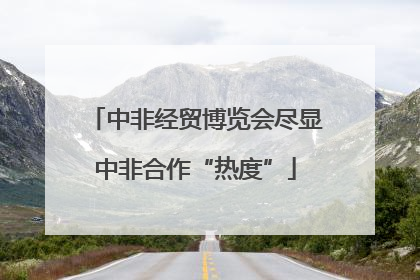 中非经贸博览会尽显中非合作“热度”